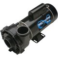 Waterway Plastics Waterway Plastics 3421021-1U 2-Speed 48 Frame EX2 Spa Pump 3421021-1U